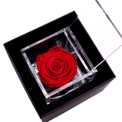 Rosa FlowerCube